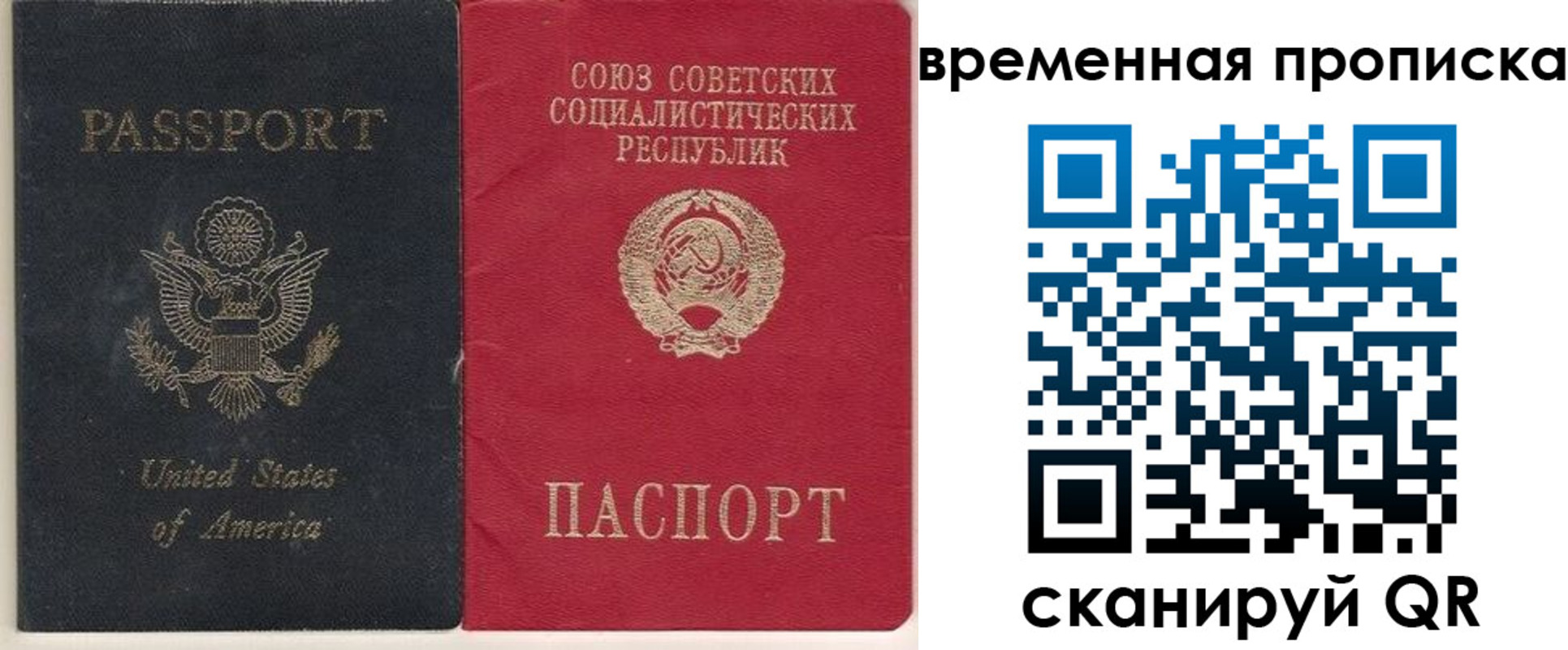 прописка для школы в Дмитрове
